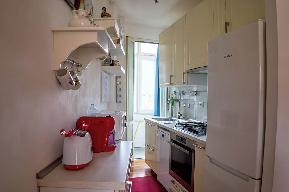 Apartment, Balcony, City View | Private kitchen