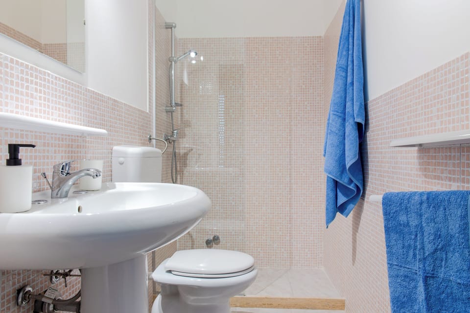 Shower, hair dryer, bathrobes, towels