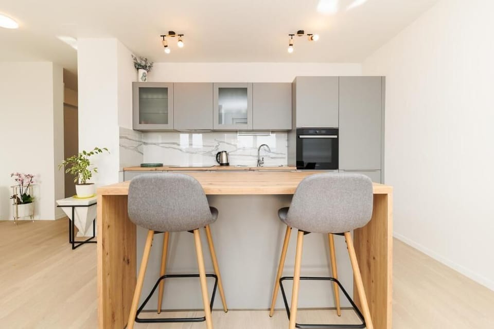 Apartment, Balcony, City View | Private kitchen