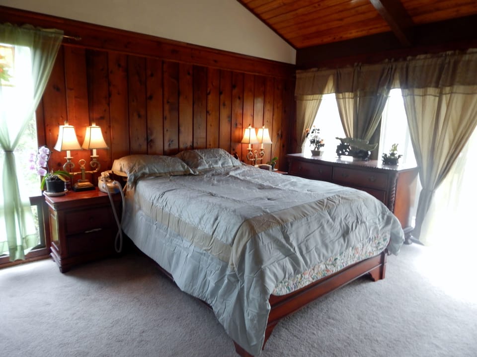 Deluxe Room, 1 Queen Bed, Private Bathroom (Master) | View from room