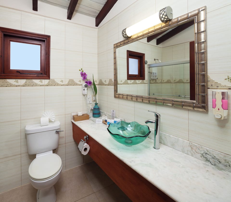 Suite, Ocean View | Bathroom | Shower, free toiletries, hair dryer, bathrobes