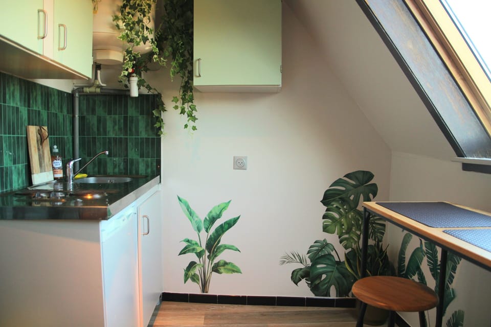 Studio | Private kitchen | Espresso maker, microwave, electric kettle