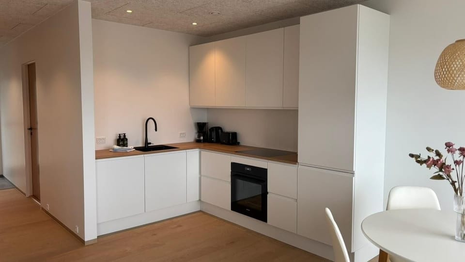Classic Apartment, 2 Bedrooms, Balcony | Private kitchen | Full-size fridge, oven, stovetop, dishwasher