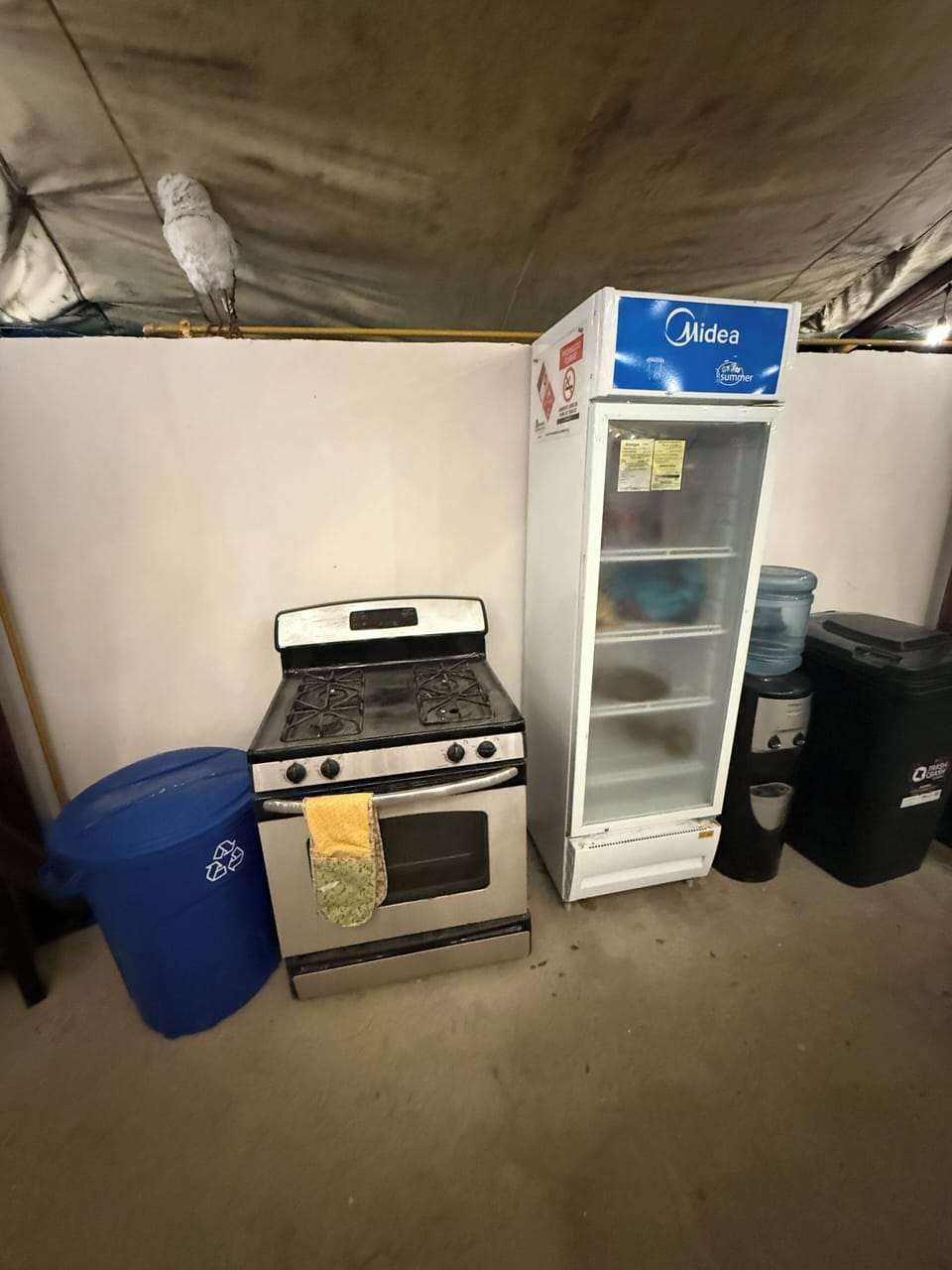 Fridge, oven, stovetop, rice cooker