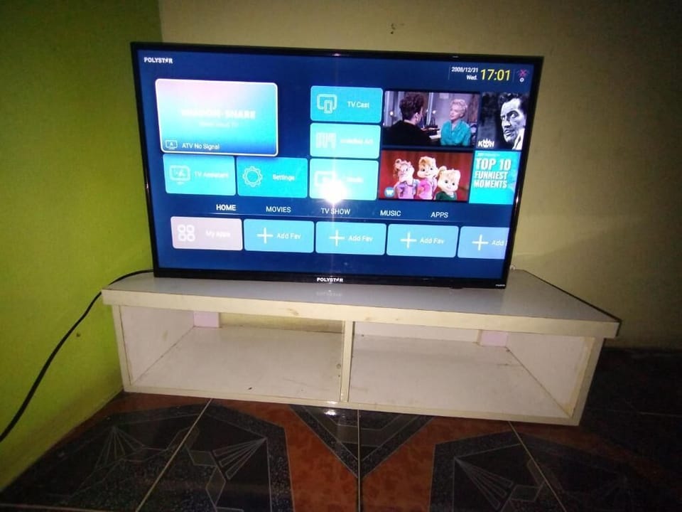 Television
