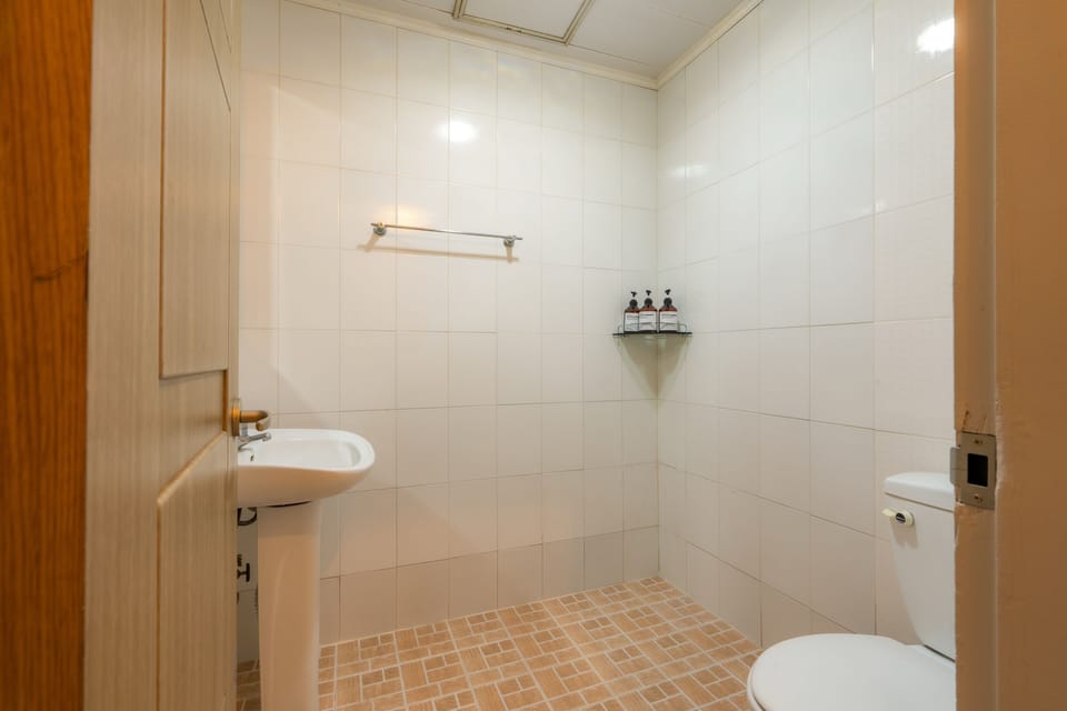 Hair dryer, towels, shampoo, toilet paper