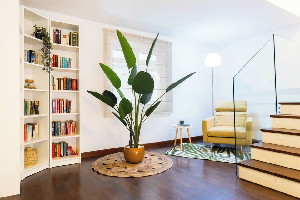 Basic Apartment | Living area