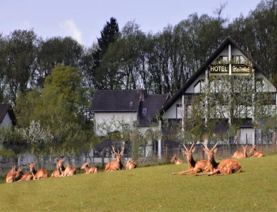 Apartment | Exterior