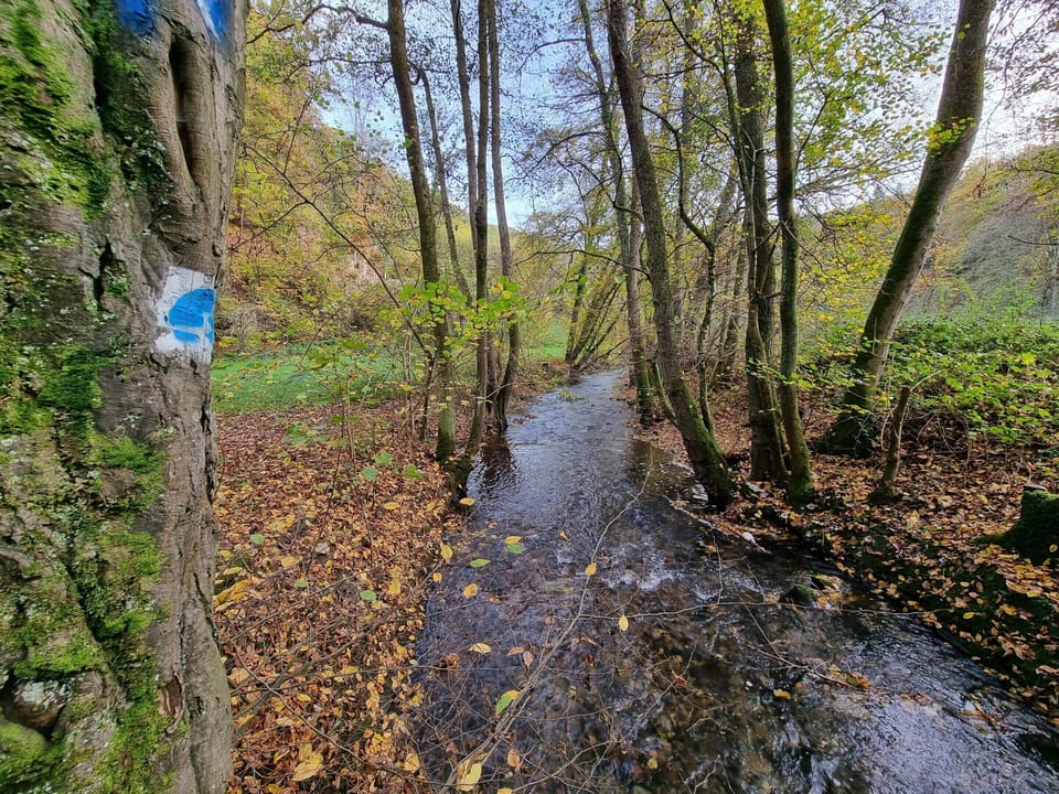 Apartment | View from property
