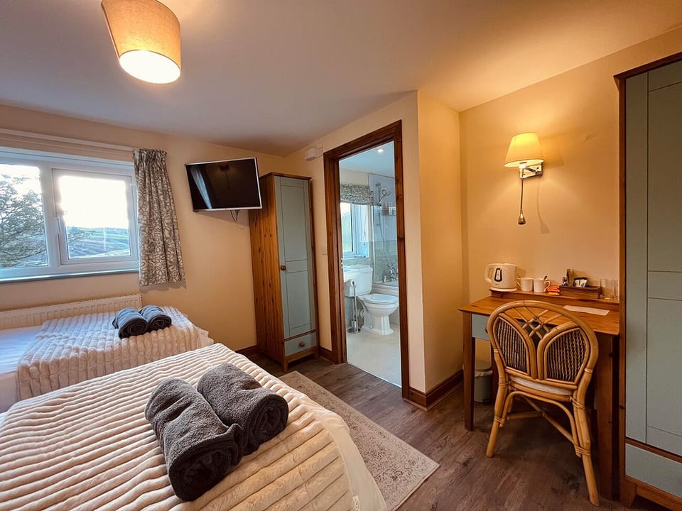 Twin Room (Ty Newydd Room 3)
