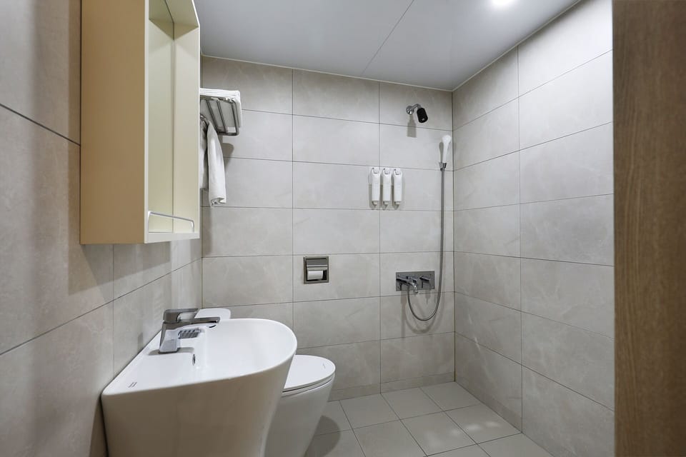 Deluxe Twin Room | Bathroom | Hair dryer, towels, soap, shampoo