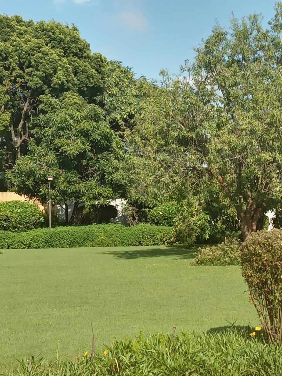 Executive Apartment | Property grounds