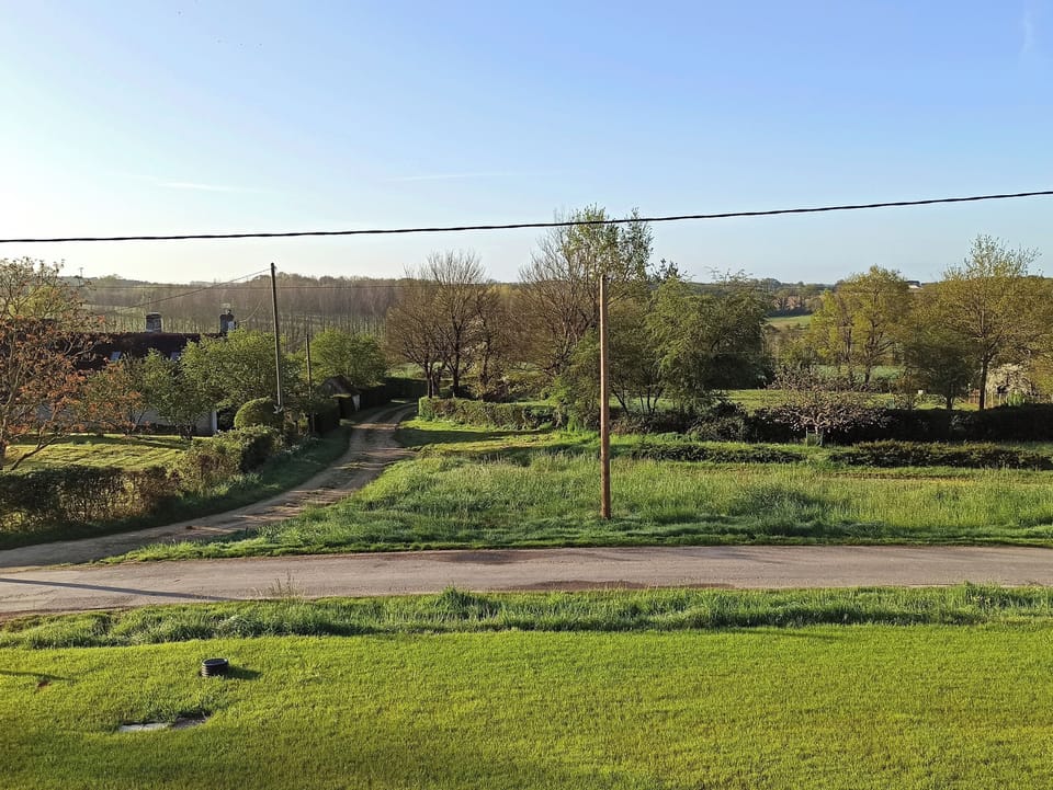 Family Quadruple Room, Garden View | Garden view