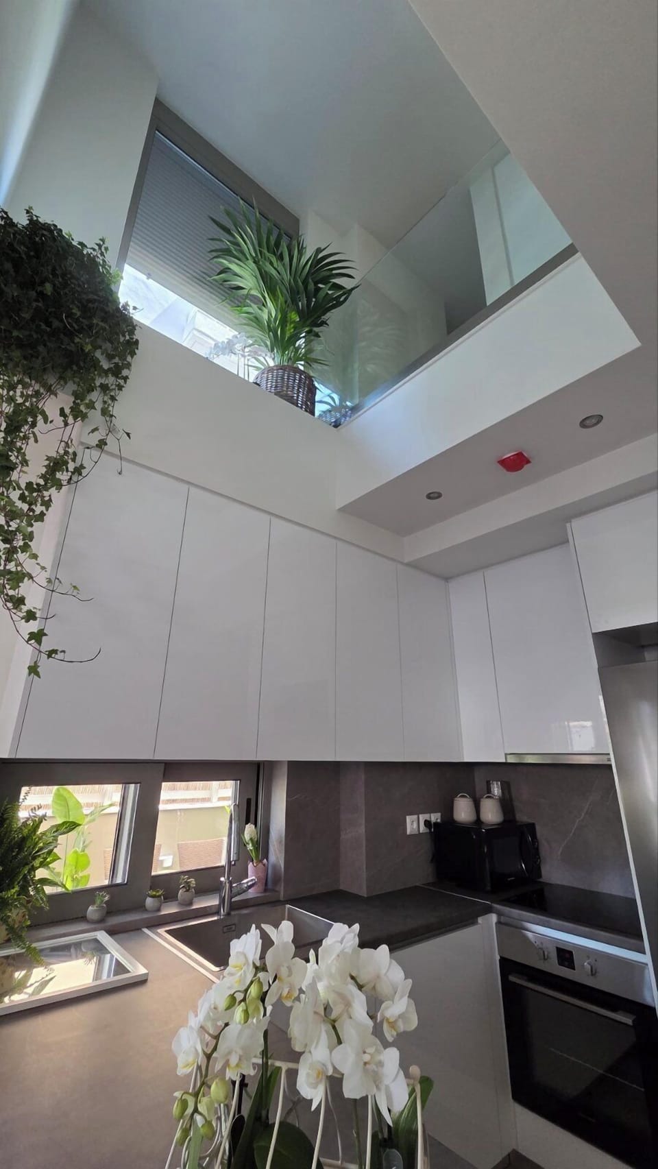 Deluxe Apartment, Garden View | Private kitchen