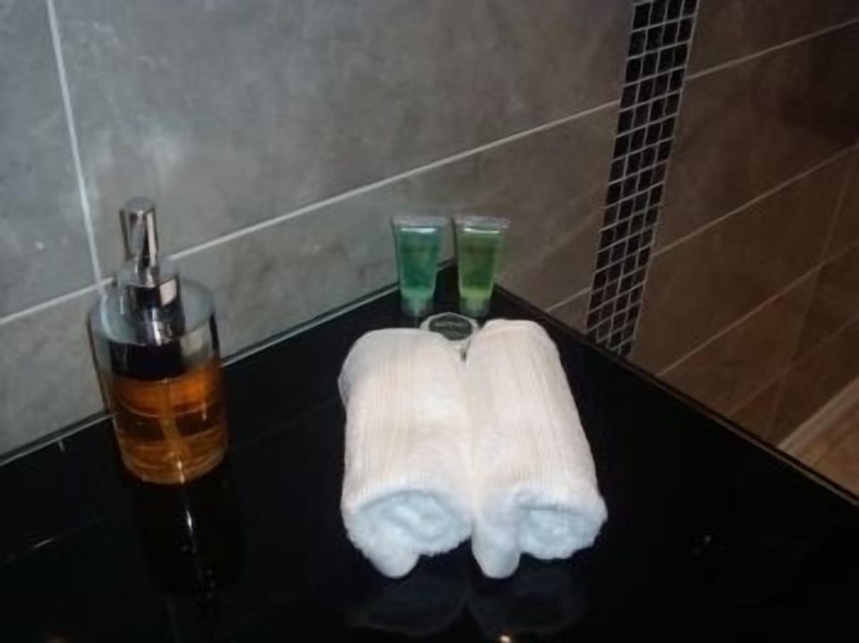 Shower, free toiletries, hair dryer, towels