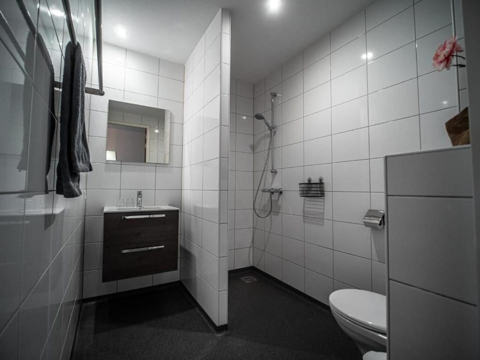 Standard Double Room, Garden View | Bathroom | Shower, towels, soap, shampoo