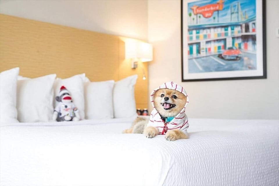 Premium bedding, pillowtop beds, desk, laptop workspace