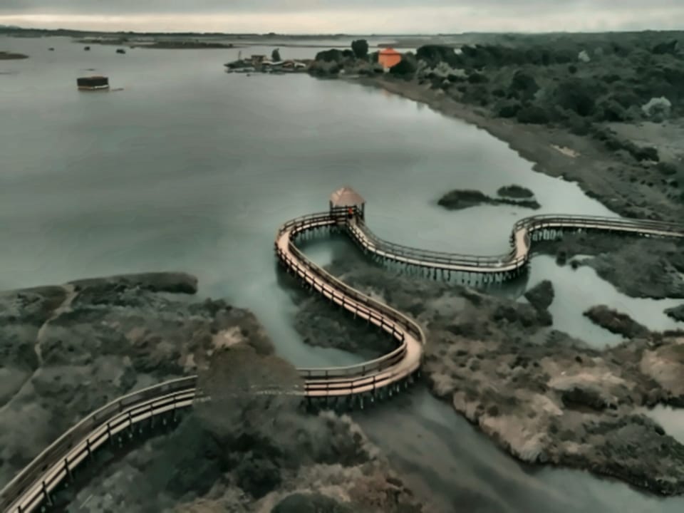 Apartment, 2 Bedrooms, Terrace | Miscellaneous