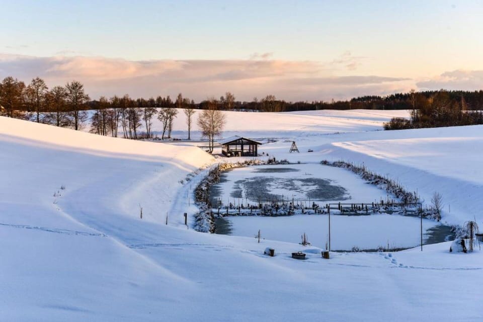 House | View from property