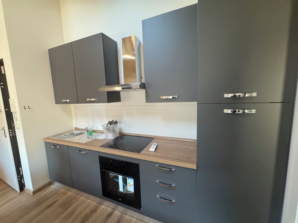 Deluxe Apartment, 1 Bedroom, River View | Private kitchen