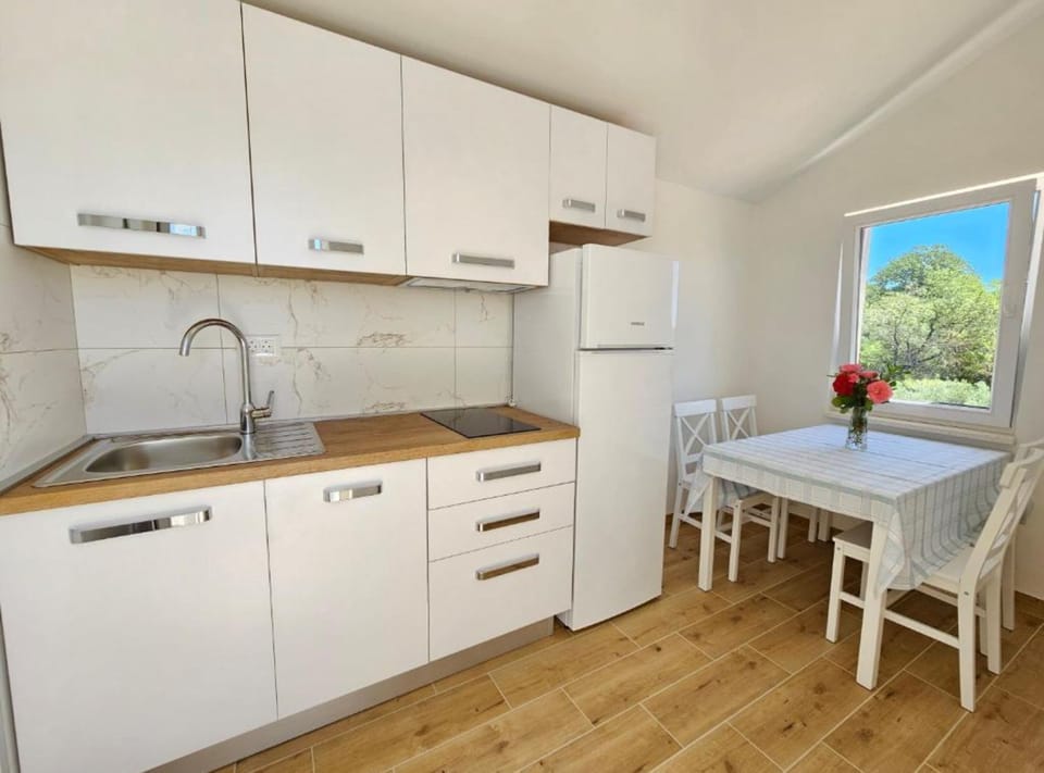 Apartment (Three bedroom Apartment with Terrace ) | Private kitchen | Fridge