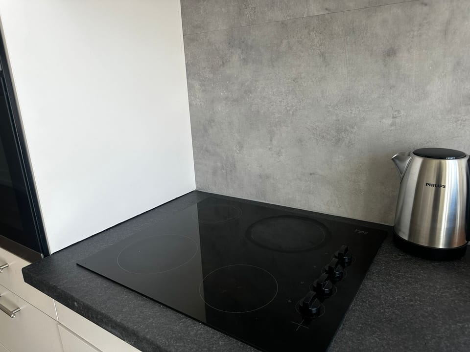 Basic Apartment | Private kitchen | Fridge, microwave, oven, stovetop