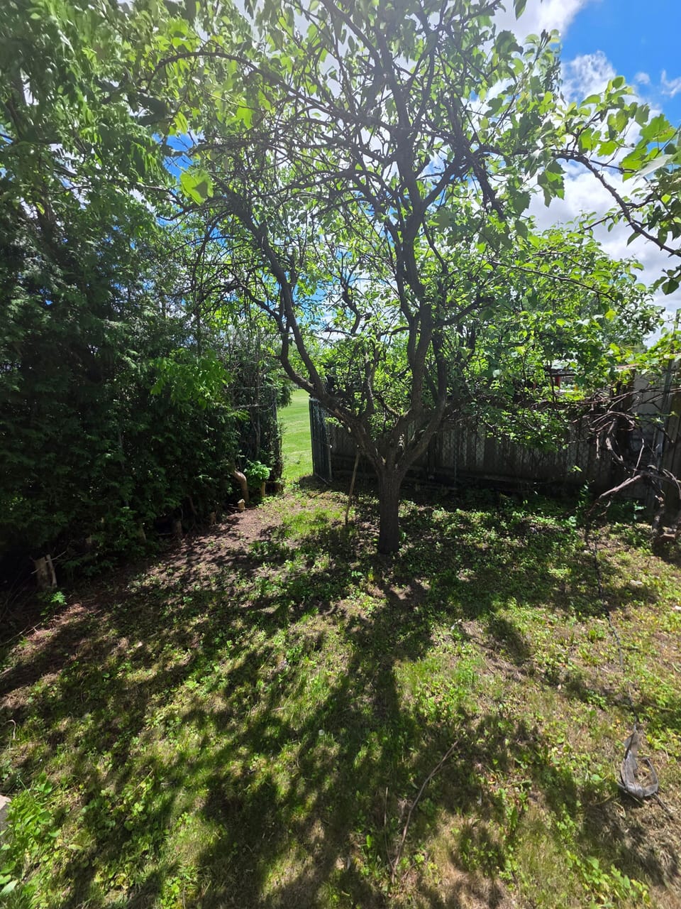 House, 2 Bedrooms, Accessible, Smoking | Garden