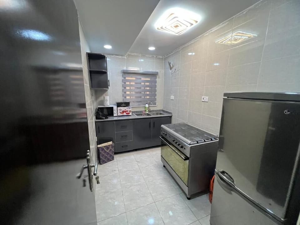 Deluxe Apartment, Balcony, City View | Private kitchen | Fridge, microwave, oven, stovetop