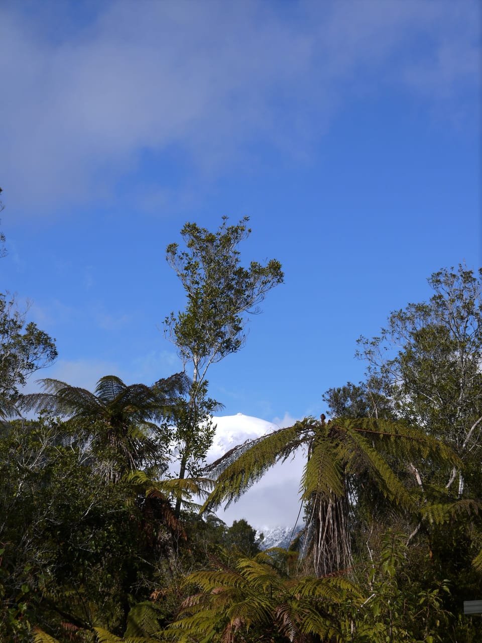 Three Bedroom House | Mountain view