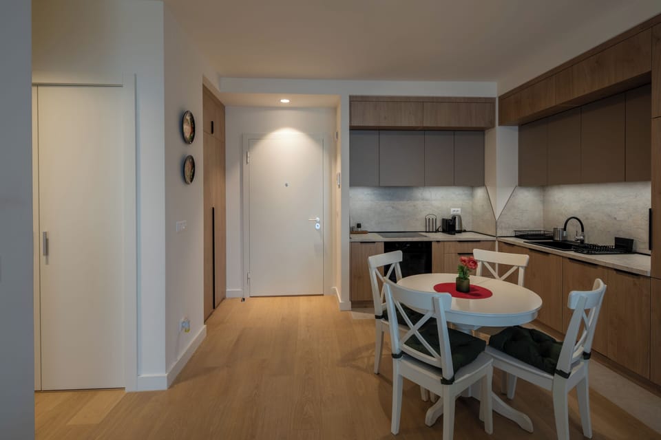 Deluxe Apartment, City View | Private kitchen | Full-size fridge, oven, stovetop, dishwasher