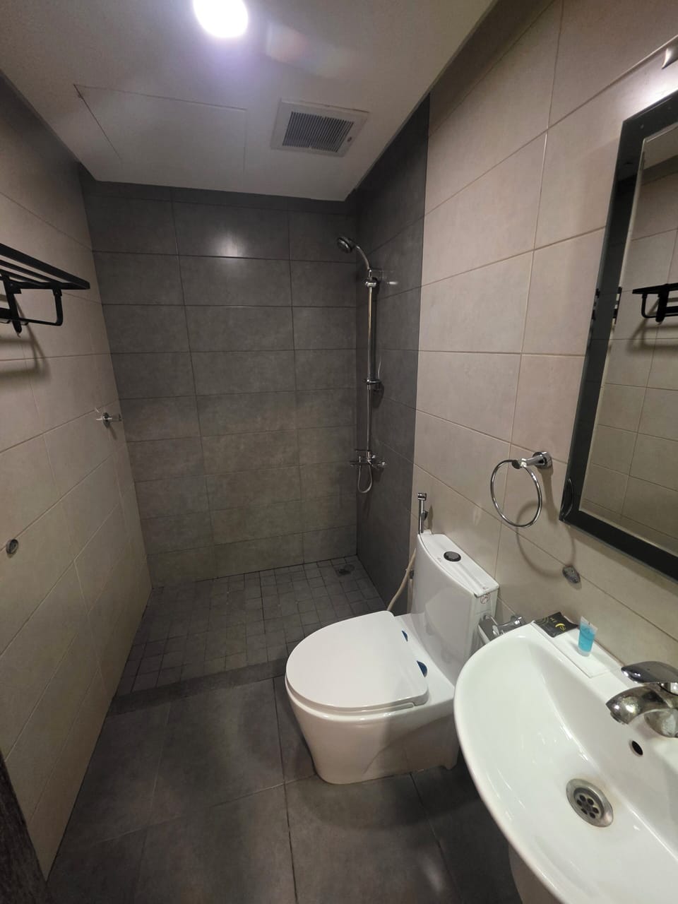 Deluxe Room | Bathroom | Shower, free toiletries, bidet, towels