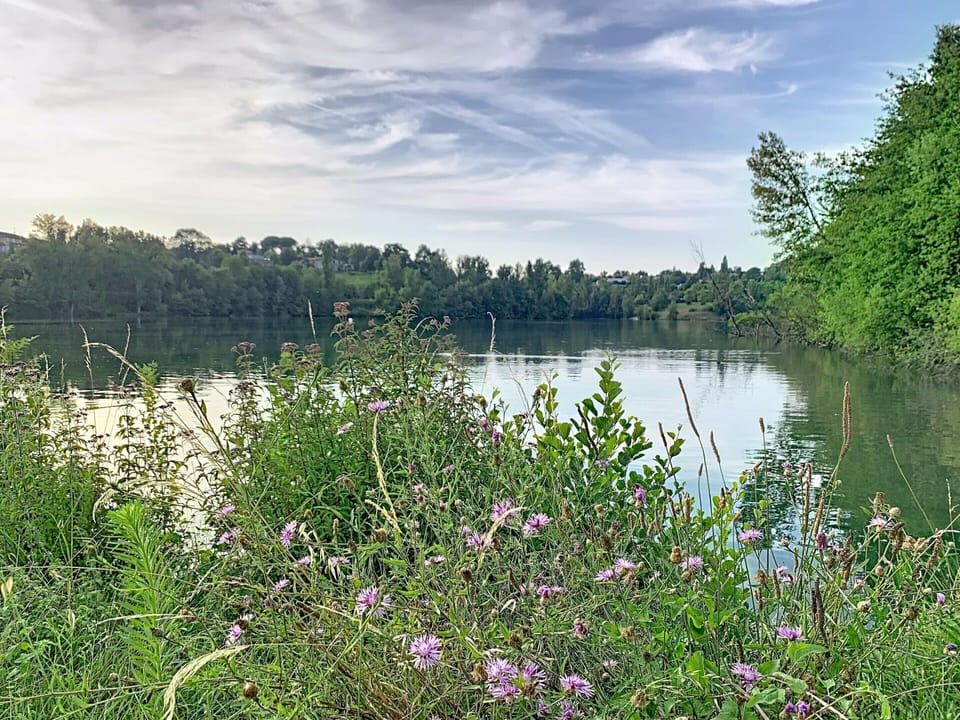 Cottage | View from property