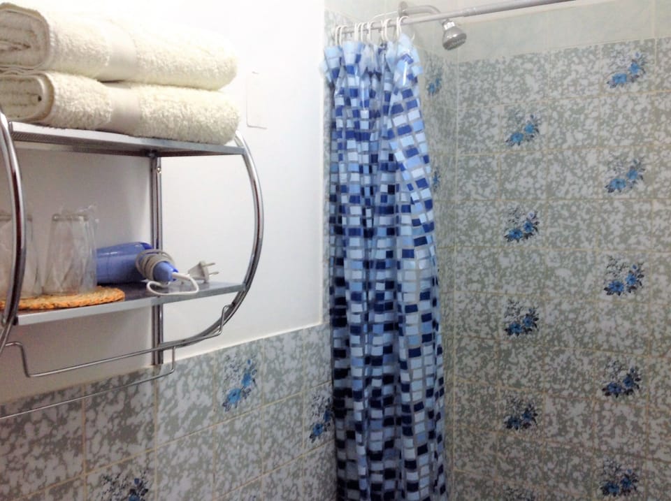 Shower, free toiletries, hair dryer, towels