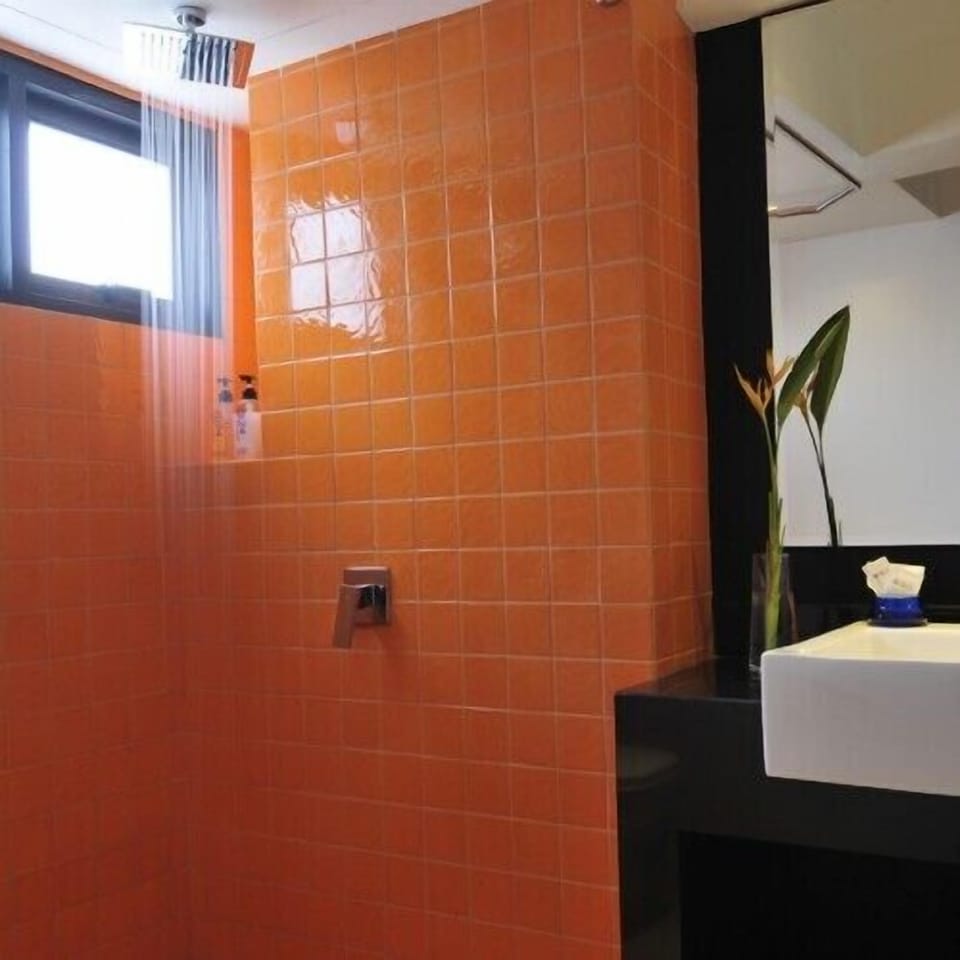Bathroom shower