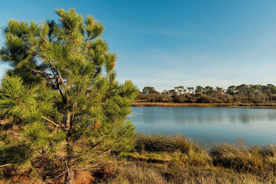 Lake