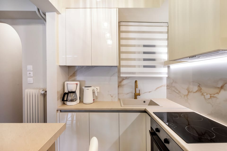 Deluxe Apartment, Balcony, City View | Private kitchen | Full-size fridge, microwave, oven, stovetop