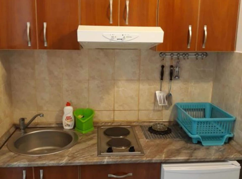 Apartment (Family Suite with Balcony (App 1)) | Private kitchen