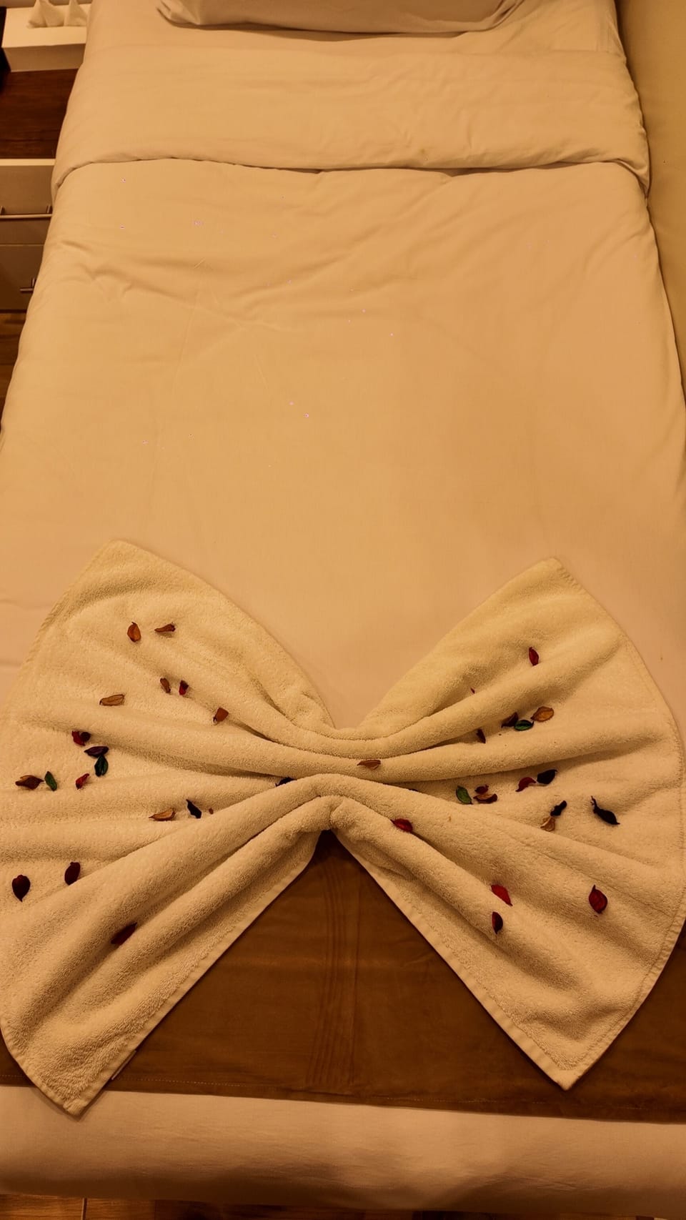 Superior Single Room | Iron/ironing board, WiFi (free)