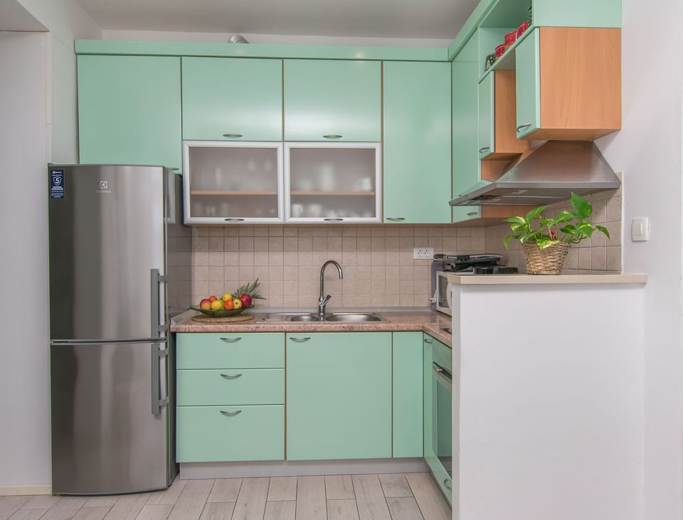 Apartment (A1) | Private kitchen | Fridge, microwave, oven, stovetop