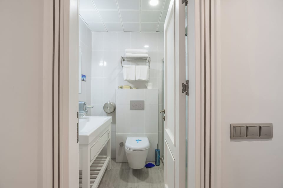 Standard Double Room | Bathroom | Shower, hair dryer, towels, soap
