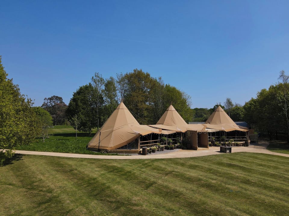 Mad Swans in The South Downs Hotel in England