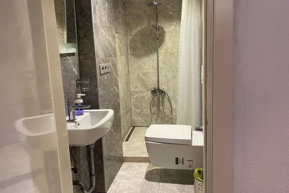 Standard Triple Room | Bathroom | Shower, hair dryer, towels, soap