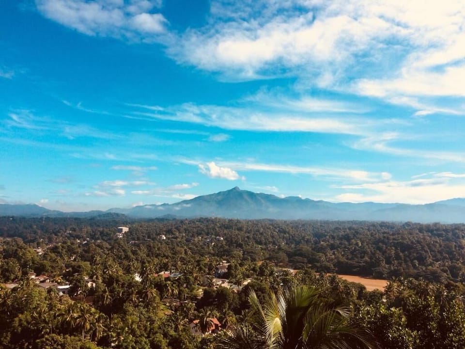 Family Quadruple Room, Balcony, Mountain View | Miscellaneous