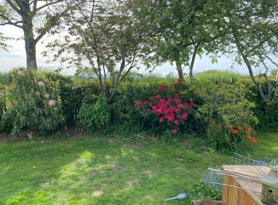Cottage | Property grounds