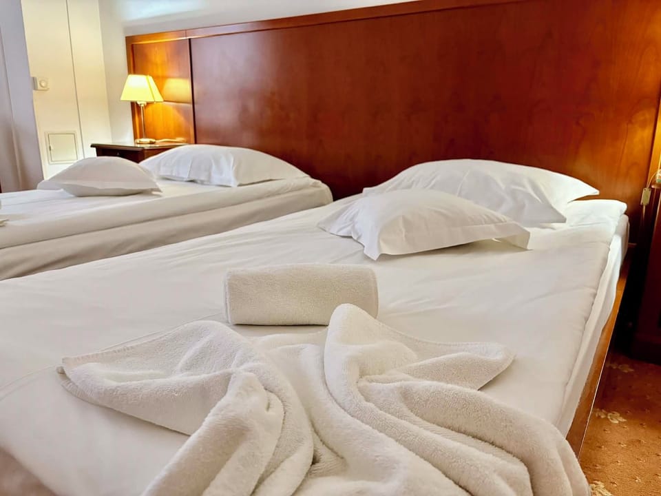 Twin Room, City View | In-room safe, desk, soundproofing, WiFi (free)