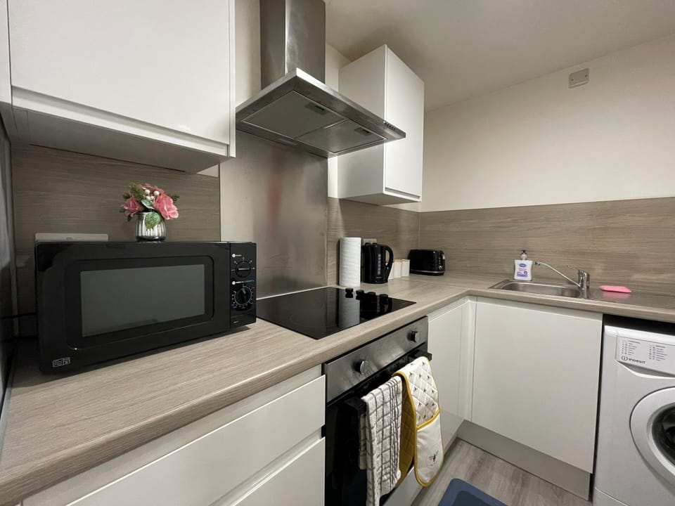 Basic Apartment | Private kitchen | Full-size fridge, microwave, oven, stovetop