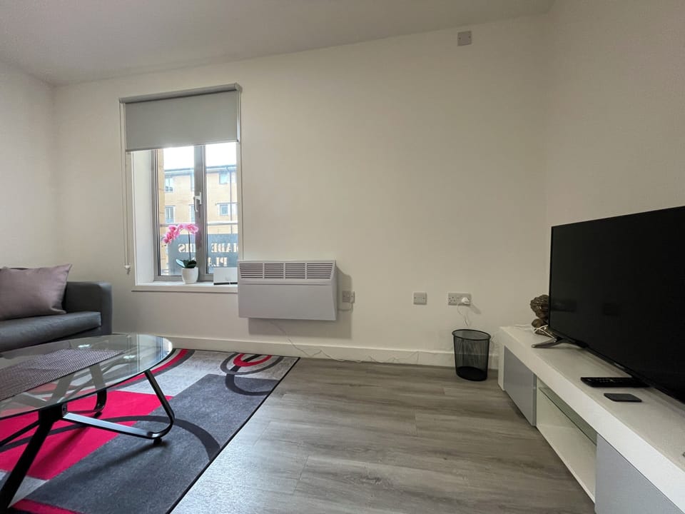 Basic Apartment | Living area | 40-inch LED TV with cable channels
