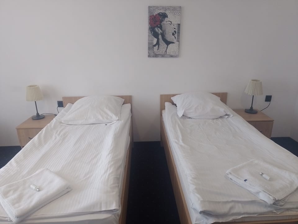 Superior Double Room Single Use | Free WiFi