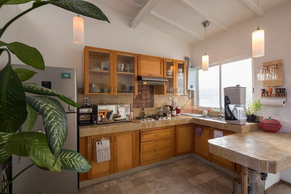 Apartment | Private kitchen | Blender, freezer