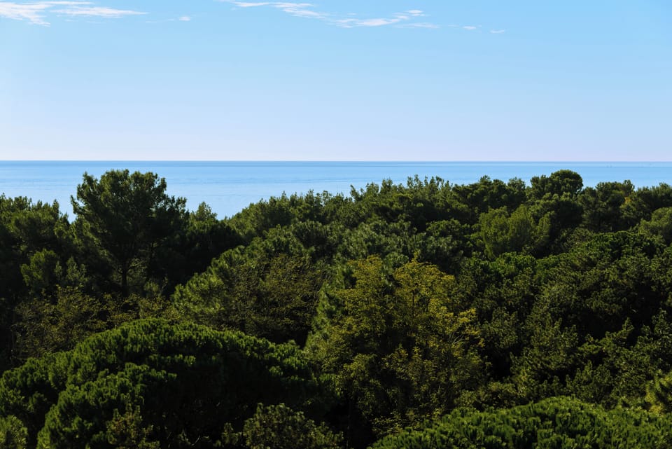Apartment, 1 Bedroom, Balcony, City View | Miscellaneous